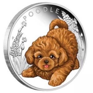 Сребърна монета Кученца - Пудел
