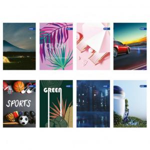 Тетрадка A4 UV Basic, 80 л.ред