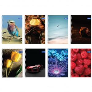 Тетрадка A5 спирала UV Basic, 80 л.ред, 2 теми