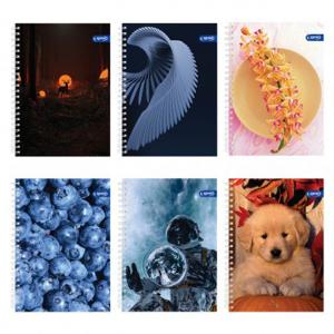 Тетрадка A5 спир. тв.корица Slim UV Basic, 120 л.ред, 3 теми