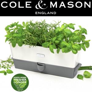 COLE & MASON Самополиваща се кашпа за зелени подправки или цветя