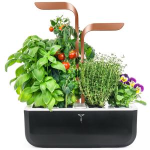 Домашна градина SMART VÉRITABLE® GARDEN - цвят черен/мед
