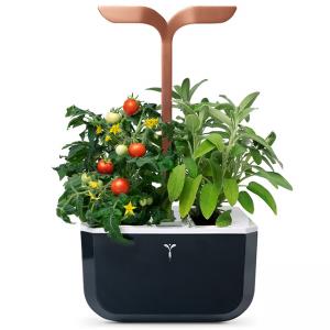 Домашна градина EXKY® SMART GARDEN - цвят черен/мед