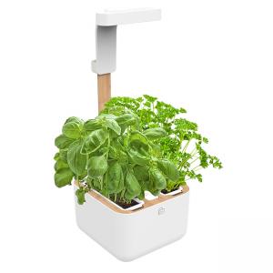 Домашна градина BOTANEO EYLO GARDEN - цвят бял