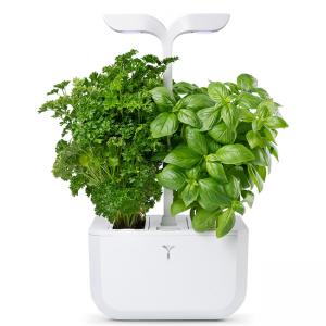 Домашна градина EXKY® CLASSIC GARDEN - цвят бял