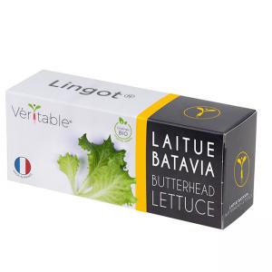 VERITABLE Lingot® Butterhead Lettuce Organic - Маруля