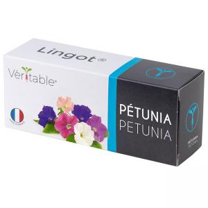 VERITABLE Lingot® Petunia - Ядлива  Петуния