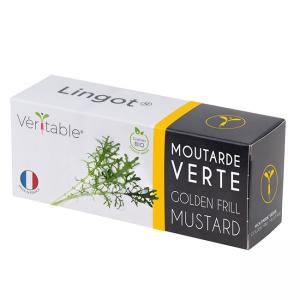 VERITABLE Lingot® Golden Frill Mustard Organic - Златна къдрава Горчица