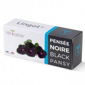 VERITABLE Lingot® Black Pansy - Черна Теменужка