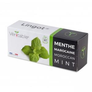 VERITABLE Lingot® Maroccan Mint - Мароканска Мента