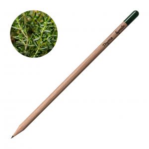 Молив със семена - Мащерка