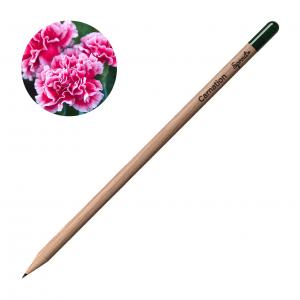 Молив със семена - Карамфил