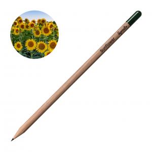 Молив със семена - Слънчоглед