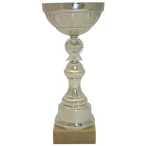 Голяма сребърна спортна купа