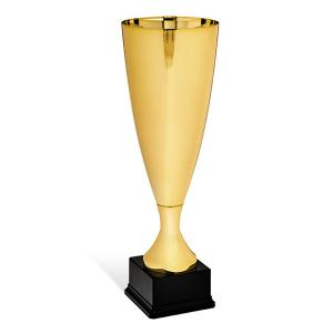 Златен трофей (малък) Златен трофей (малък)