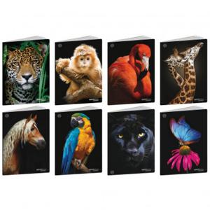 Тетрадка А4 100 г/м2 UV Animal black 36+2 л. ред