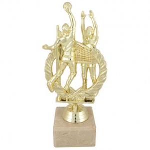 Приз Волейбол