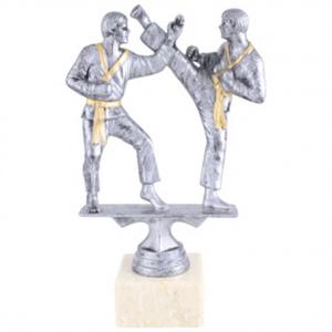 Сребърна фигура Бойни изкуства