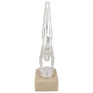 Сребърна награда Спортна гимнастика (мъже)