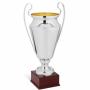 Сребърен трофей (голям)