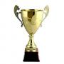 Луксозна спортна купа - височина 50 см
