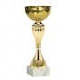 Стандартна спортна купа, златно покритие - височина 22 см