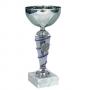 Стандартна спортна купа, сребърно покритие - височина 21 см