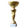 Стандартна спортна купа, златно покритие - височина 28 см
