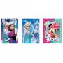 Тетрадка формат A5 твърда корица Minnie/Frozen, 80 листа с редове, 80 г/м2