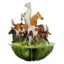 3D Картичка Horses and Ponies, Pirouette