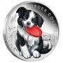 Сребърна монета Кученца – Бордър коли
