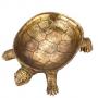 Декорация костенурка