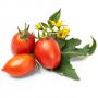 VERITABLE Lingot® Red Cherry tomato - Червени чери домати