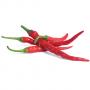 VERITABLE Lingot® Cayenne hot chili - Люто Чили Кайен