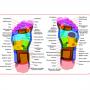 CASADA Постелка за рефлексотерапия “MioMat“